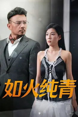 如火纯青海报