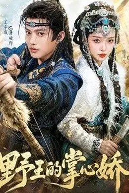 野王的掌心娇