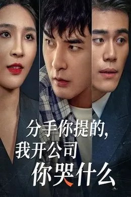 分手你提的,我开公司你哭什么海报