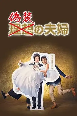 伪装夫妇2015