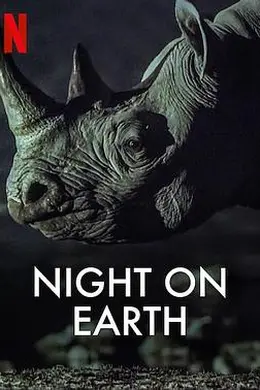 地球的夜晚