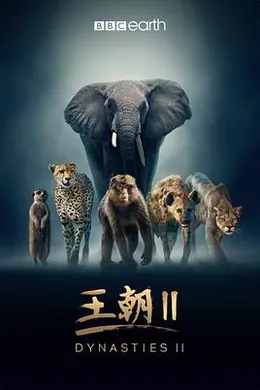 王朝第二季中配版