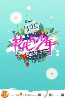 花儿与少年 第四季