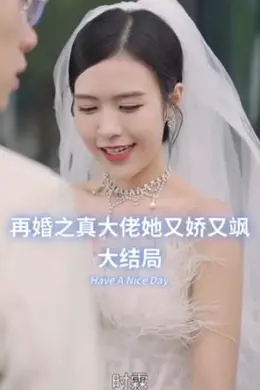 再婚之真大佬她又娇又飒