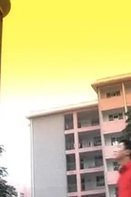 风继续吹