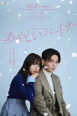 奇怪的搭档 日本版