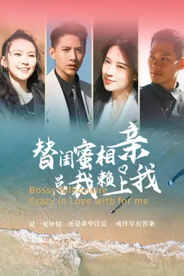 替闺蜜相亲,总裁赖上我海报