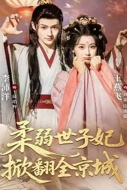 柔弱世子妃掀翻全京城