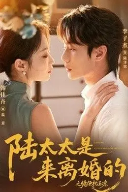 陆太太是来离婚的之慵便枕玉凉