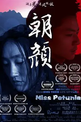 朝颜