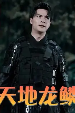 天地龙鳞