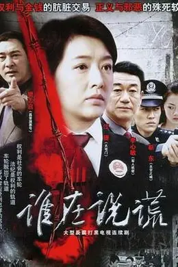 谁在说谎海报