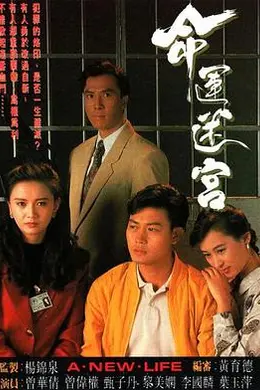 命运迷宫粤语