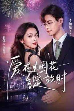 爱在烟花绽放时