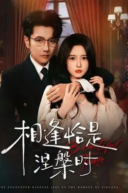 相逢恰是涅槃时