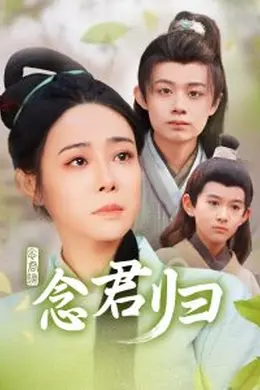 念君归
