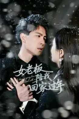 女老板陪我回家过年