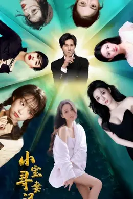 小宝寻妻记