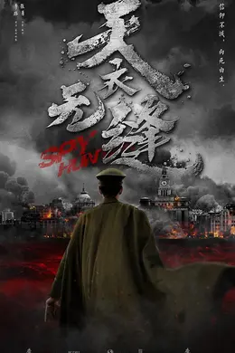 天衣无缝网络版