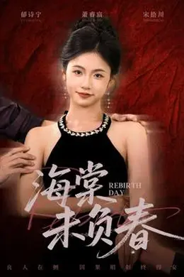 海棠未负春海报