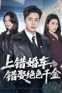 上错婚车，错娶绝色千金