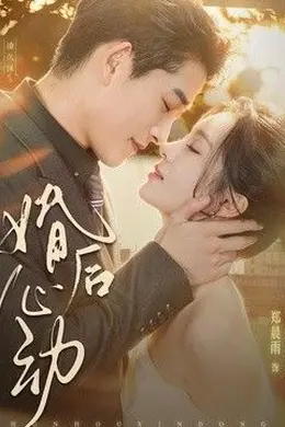 婚后心动