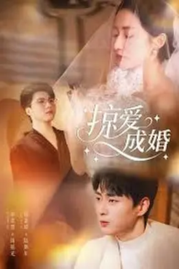 掠爱成婚