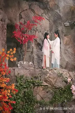 长生帝婿