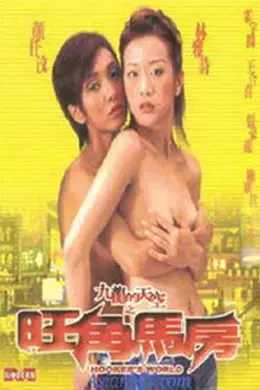 错爱牛郎