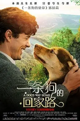 一条狗的回家路国语