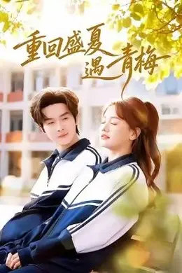 重回盛夏遇青梅