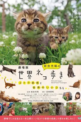 捉喵记