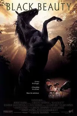 黑骏马1994
