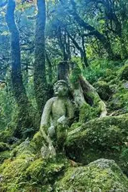 哀牢寻龙
