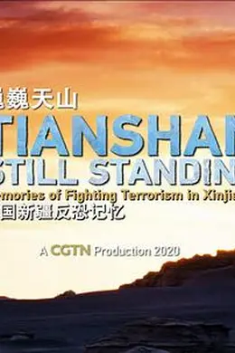 巍巍天山——中国新疆反恐记忆