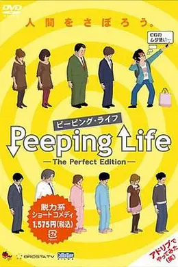 窥探人生