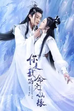 你是我的命定仙缘