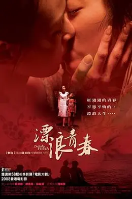 漂浪青春（中字）