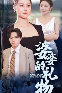 婆婆的礼物海报
