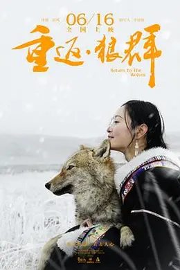 重返狼群