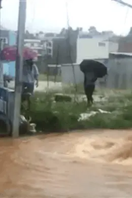 尼泊尔持续降雨已致66人死亡