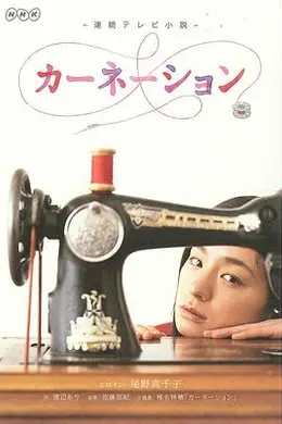 康乃馨