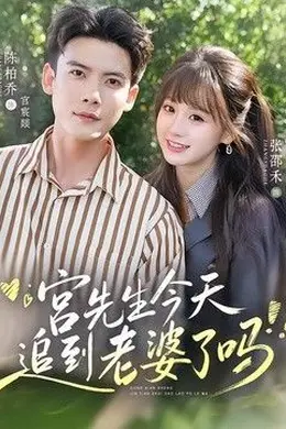 宫先生今天追到老婆了吗