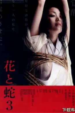 花与蛇3
