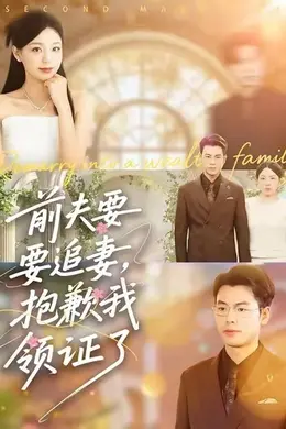 前夫要追妻，抱歉我领证了