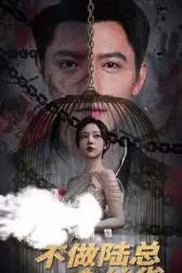 掌中玩物，不做陆总金丝雀