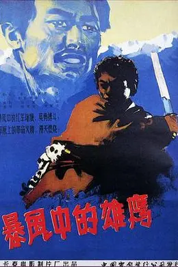 暴风中的雄鹰