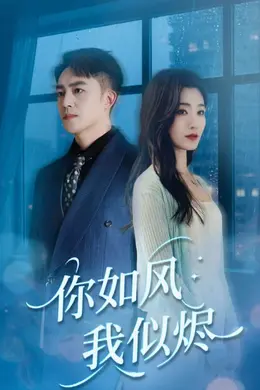 你如风我似烬海报