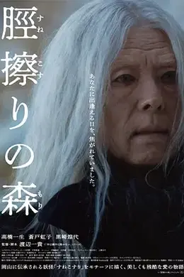 胫擦之森