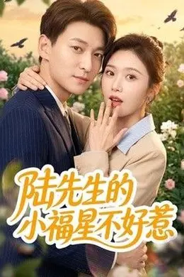 陆先生的小福星不好惹